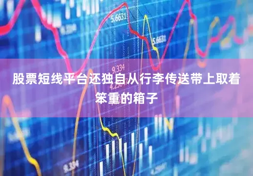股票短线平台还独自从行李传送带上取着笨重的箱子