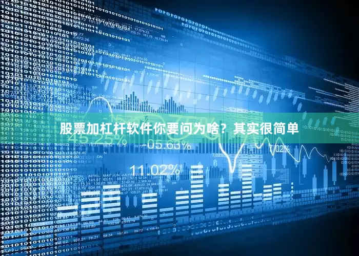 股票加杠杆软件你要问为啥？其实很简单